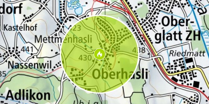 Brand in Oberhasli