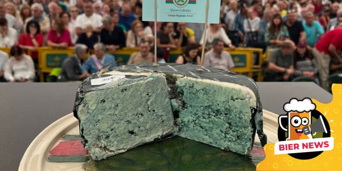 Cabrales Käse
