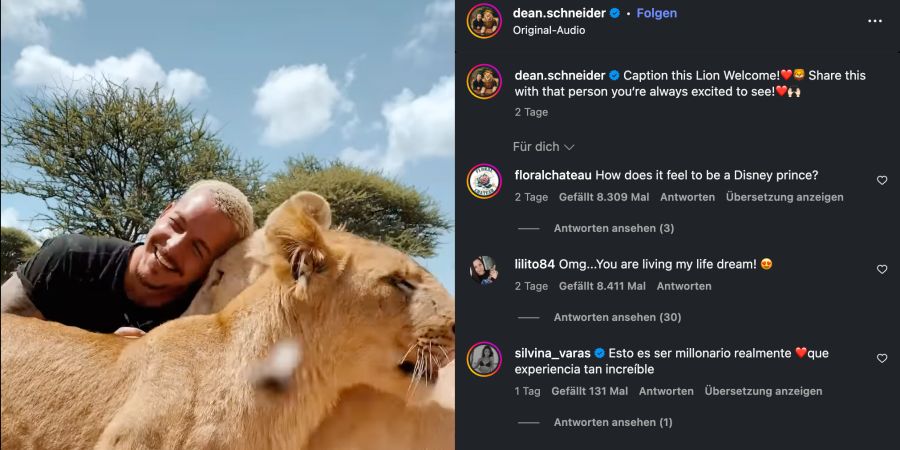 Löwenflüsterer Dean Schneider