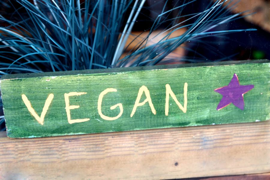 planted produkte vegan