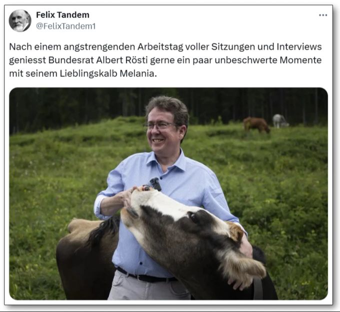 Ob dieses Vieh tatsächlich Melania heisst, ist nicht überliefert – aber es scheint sich gut mit Bundesrat Albert Rösti zu verstehen. Albert Rösti Kalb Melania