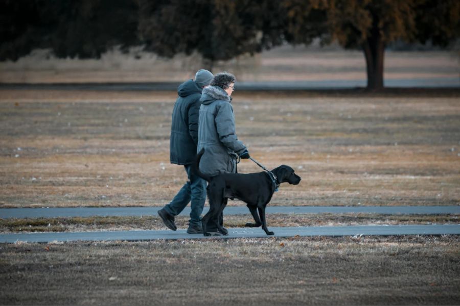 Hund, Spaziergang