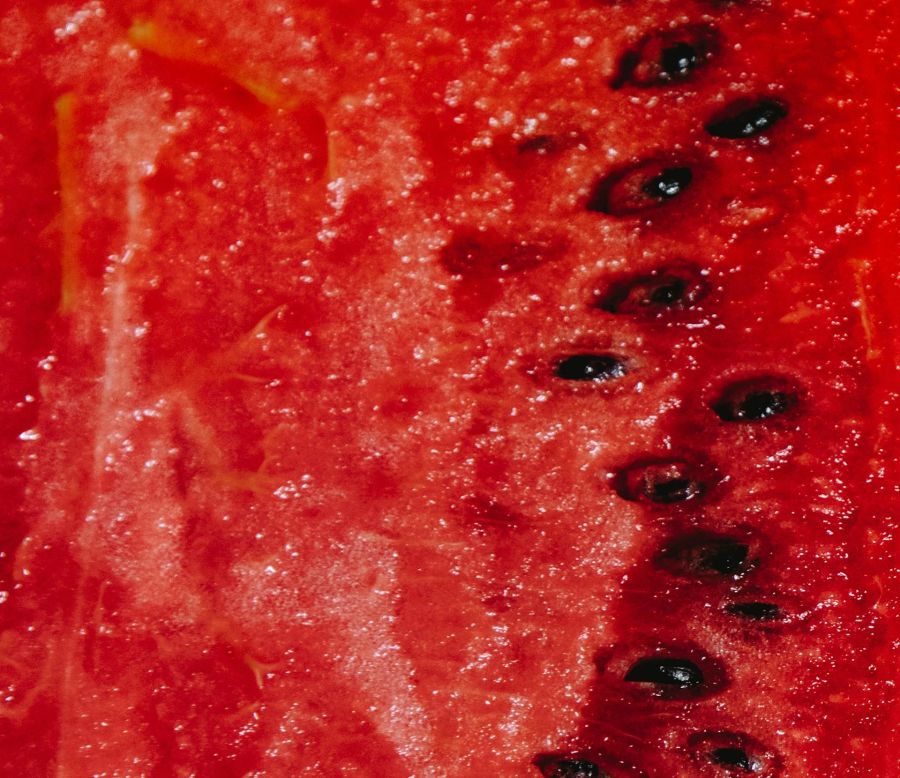 Wassermelone