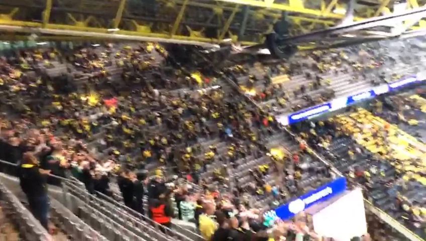 whatsapp-video-2024-10-03-at-08