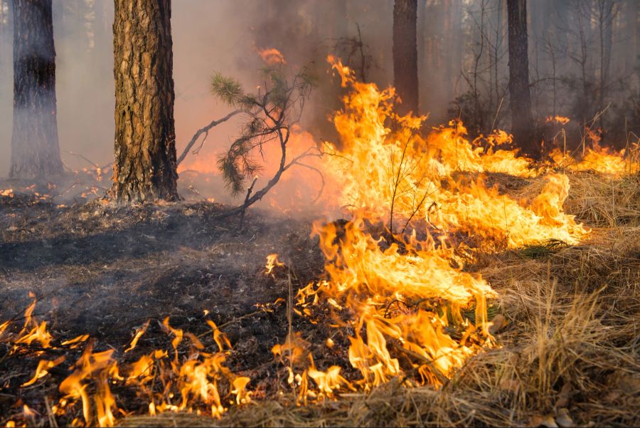 Feuer Brand
