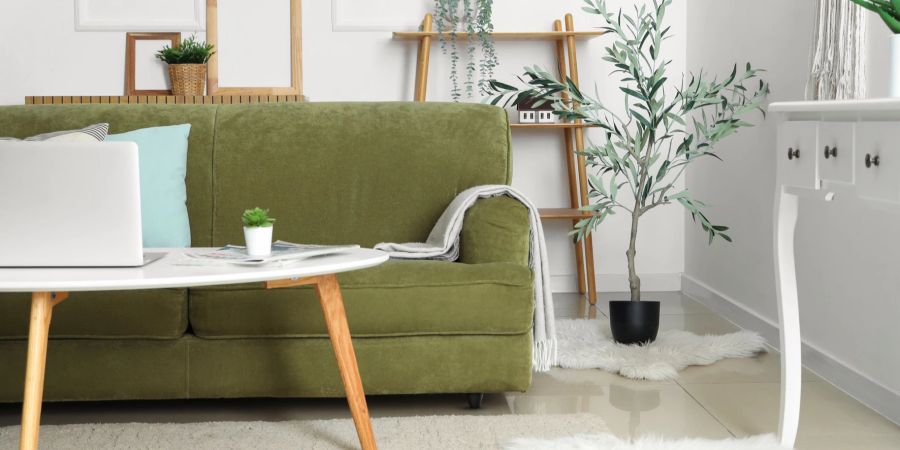 Olivgrünes Sofa, Wohnzimmer