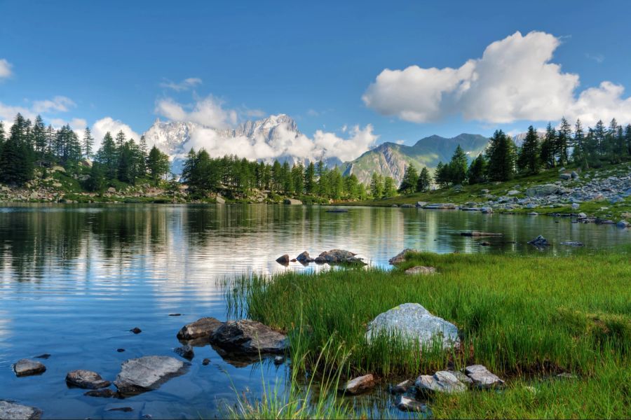 Natur, Berge, Grün