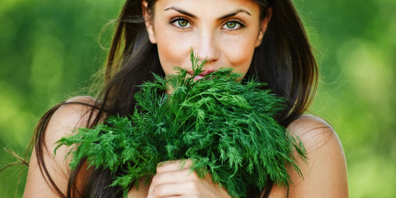 Dill: Das Kraut mit Superkräften | Nau Food Dill: Das Kraut mit Superkräften | Nau Food