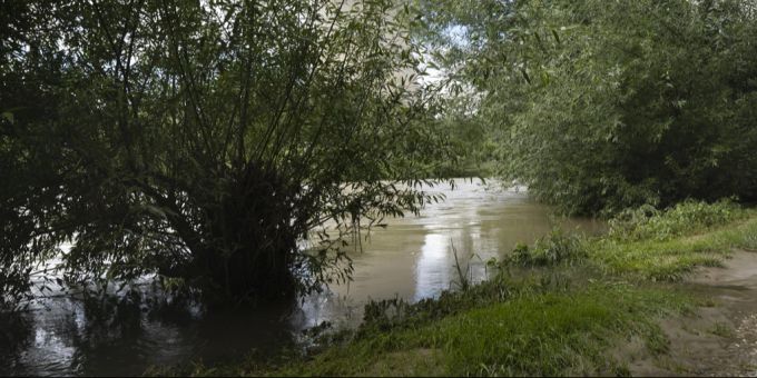 Die Aare bei Niedergösgen. (Archivbild) Aare Niedergösgen