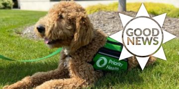Hunde USA Schulen