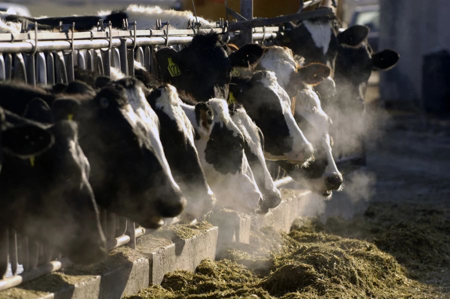 Das Gesetz entstand aus einer Einigung von Regierung, Landwirten und Gewerkschaften.