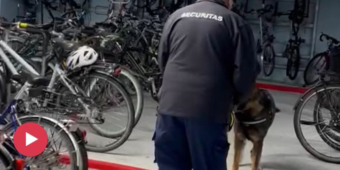 Securitas Hund