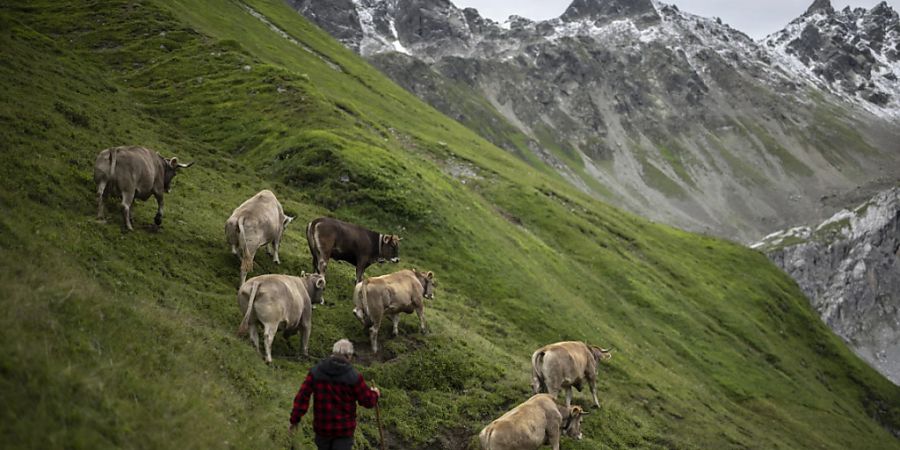 Die Nationalratskommission möchte im nächsten Jahr der Landwirtschaft mehr Gelder zukommen lassen, als dies der Bundesrat geplant hat. (Themenbild)