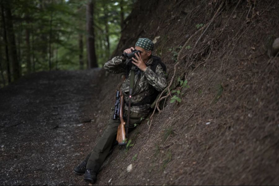 Walliser Jäger lernen nun, wie man die Raubtiere jagt.