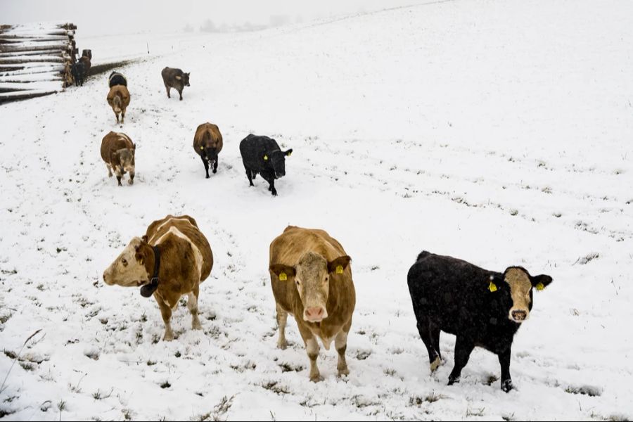 Für das Wochenende ist Schnee angekündigt. (Archiv)