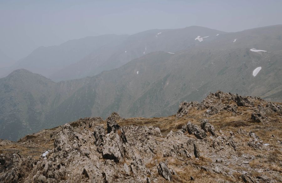 Die Anzahl der Wildpferde im Kosciuszko-Nationalpark in Australien soll drastisch reduziert werden. (Symbolbild)