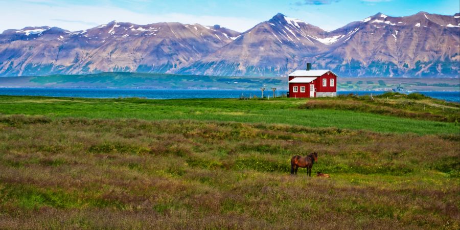 landschaft island rotes haus