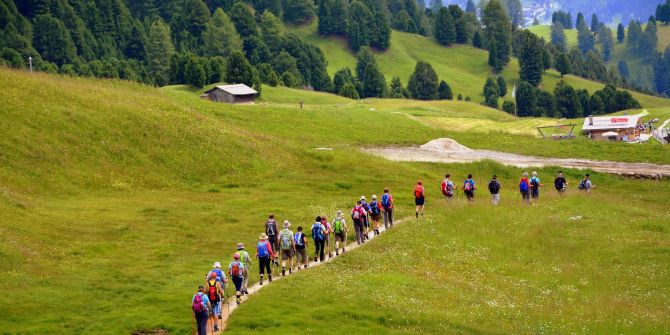 Wandergruppe Weg Berge Nadelbäume Hütte grün Wiese