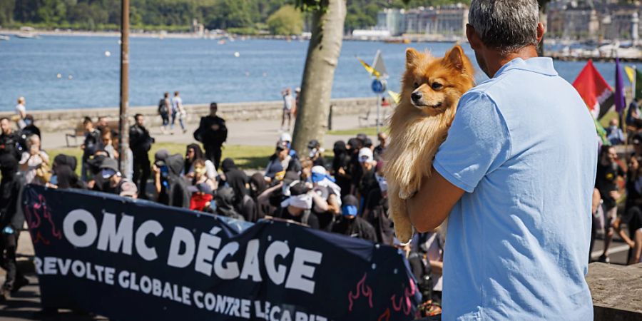 Der Demonstrationszug am Ufer des Genfersees in Genf.