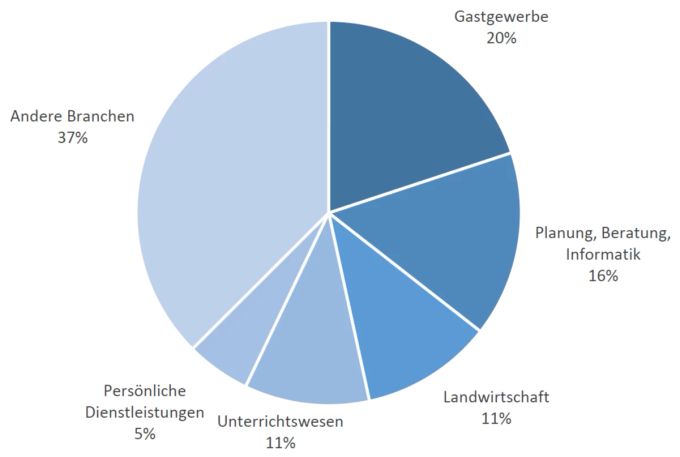 Personen mit Schutzstatus S und aktivem Erwerb – wichtigste Branchen. (Symbolbild) ostschweiz