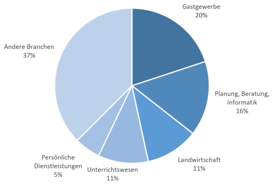 Schutzstatus S Branchen