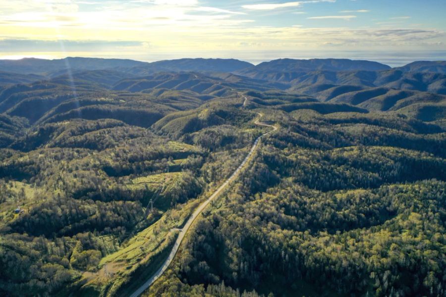 Bäume säumen den stark bewaldeten Nevelsky-Pass an der Südwestküste der Insel Sachalin, Russland, am Dienstag, 5. Oktober 2021.