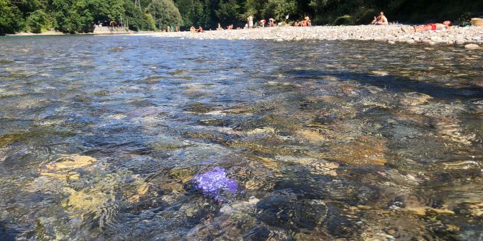 Staunen im Fluss - Sekte will Badende mit mysteriösem Aare-Stein fangen