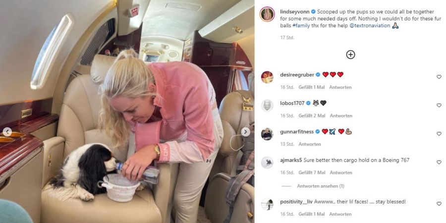 Lindsey Vonn Hunde Privatjet