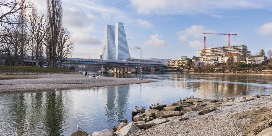 Das Birsköpfli in Birsfelden ist ein beliebtes Naherholungsgebiet für die Stadt Basel und die Agglomerationsgemeinde Birsfelden.