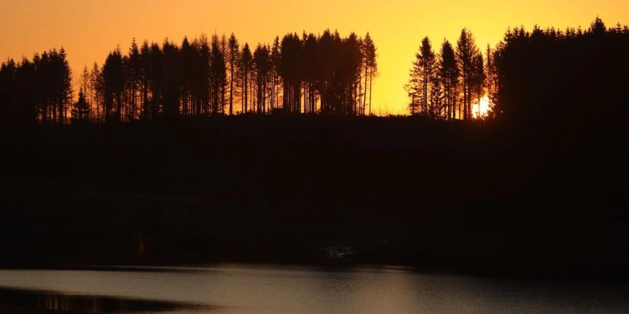 Am Abend des 20. März beginnt auf der Nordhalbkugel der Frühling.