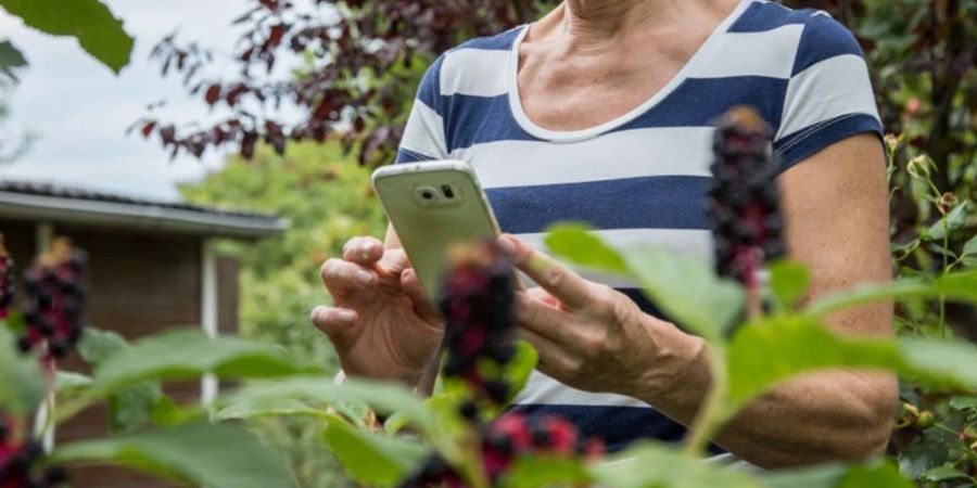 Säen, pflegen, ernten: Timing ist alles im Pflanzen-Business. Wie gut, dass auch hier das Smartphone weiterhilft.