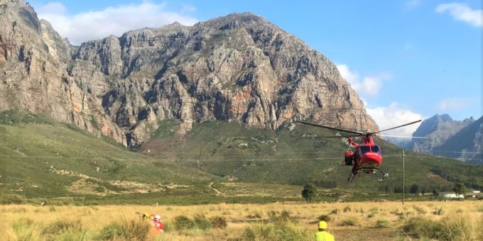 Beine gebrochen - Affen verletzen Wanderer in Südafrika mit Steinen