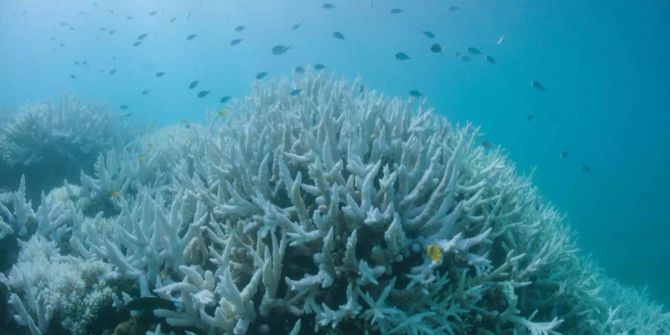 Great Barrier Reef