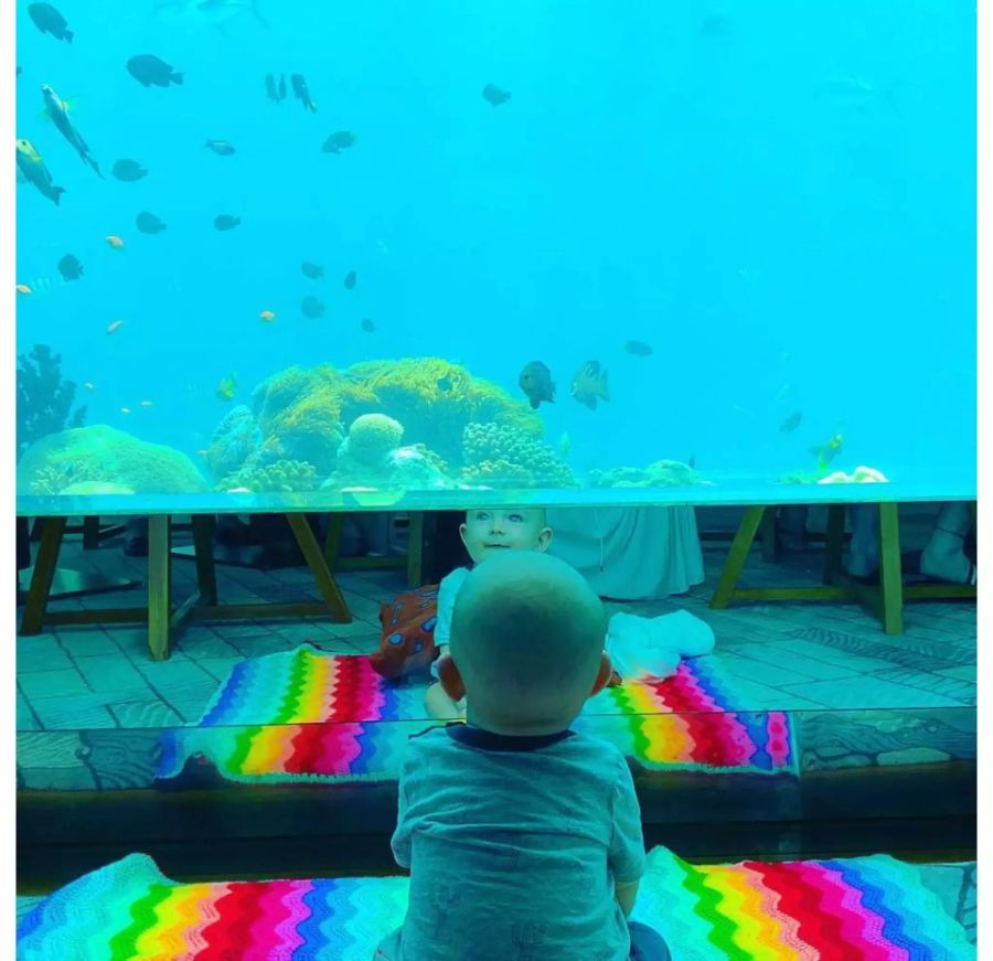 Das grosse Staunen: Baby Cooper beobachtet Fische im Aquarium.