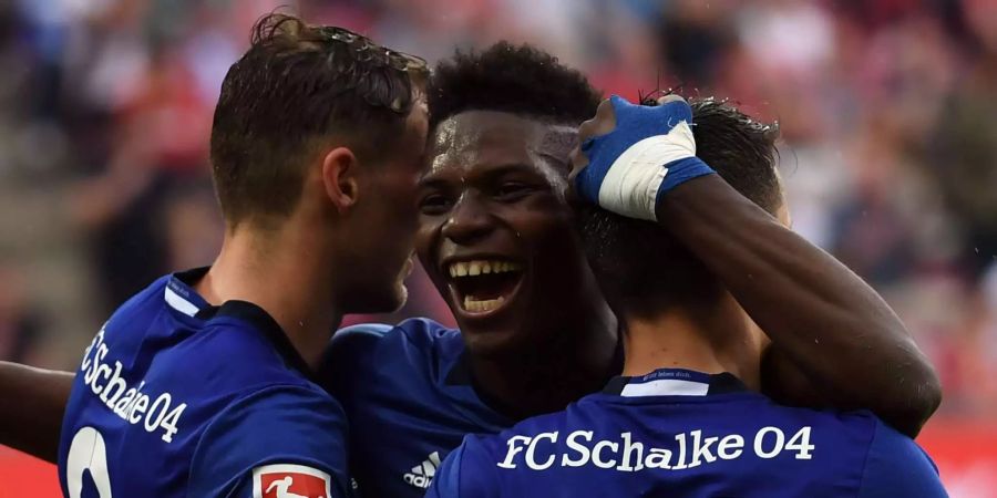 Breel Embolo (Mitte) feiert einen Treffer für Schalke 04.