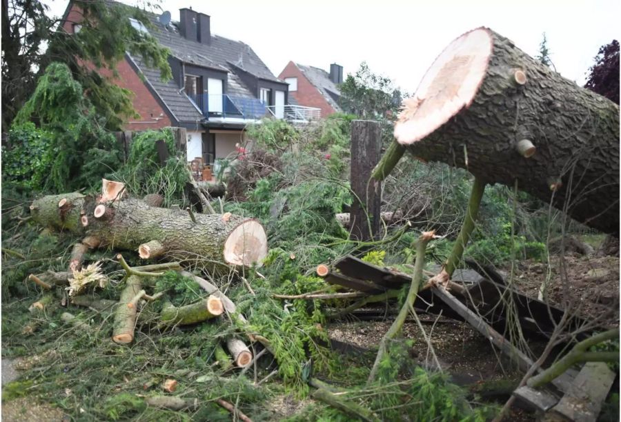 Von einem Wirbelsturm umgerissene Bäume liegen auf einem Grundstück in Boisheim.