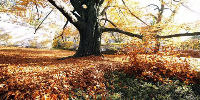 Zwischensaison ist jetzt Hochsaison - Der Herbst ist der bessere Sommer