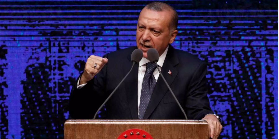 Der türkische Präsident Recep Tayyip Erdogan während einer Ansprache in Ankara.