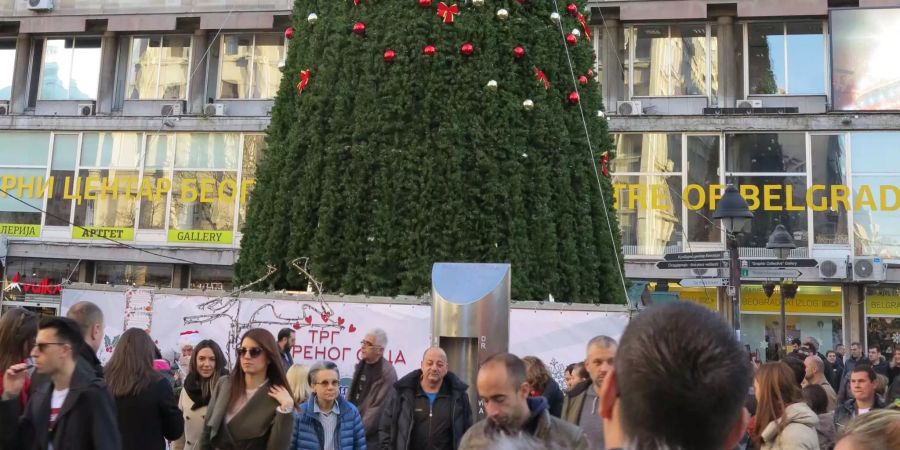 Dieser Tannenbaum sorgt für Unmut.
