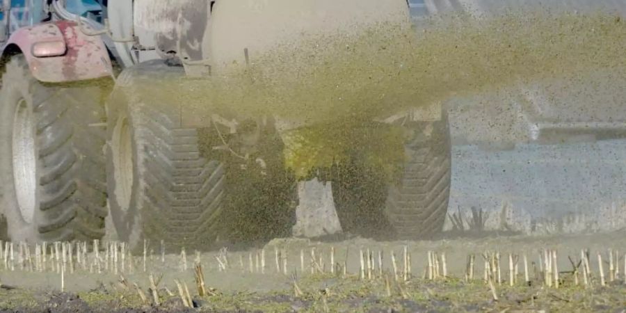 Im vergangenen Juni hatte der Europäische Gerichtshof festgestellt, dass Deutschland jahrelang zu wenig gegen überhöhte Nitratwerte im Grundwasser unternommen hatte. Foto: