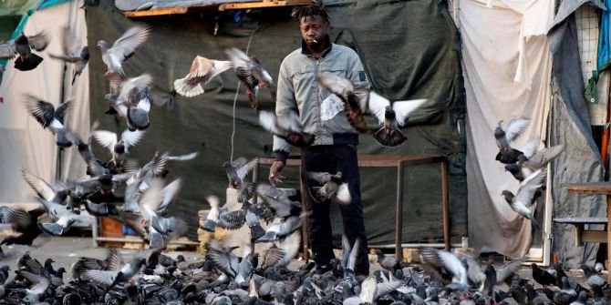 Ein Mann füttert Tauben, während die Polizei ein Migrantenlager der Hilfsgruppe Baobab räumt.