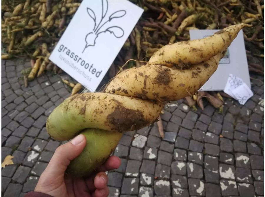 Zwei ganz einzigartige Karotten - solche liebkosende Rüebli verkauft der Supermarkt nicht.