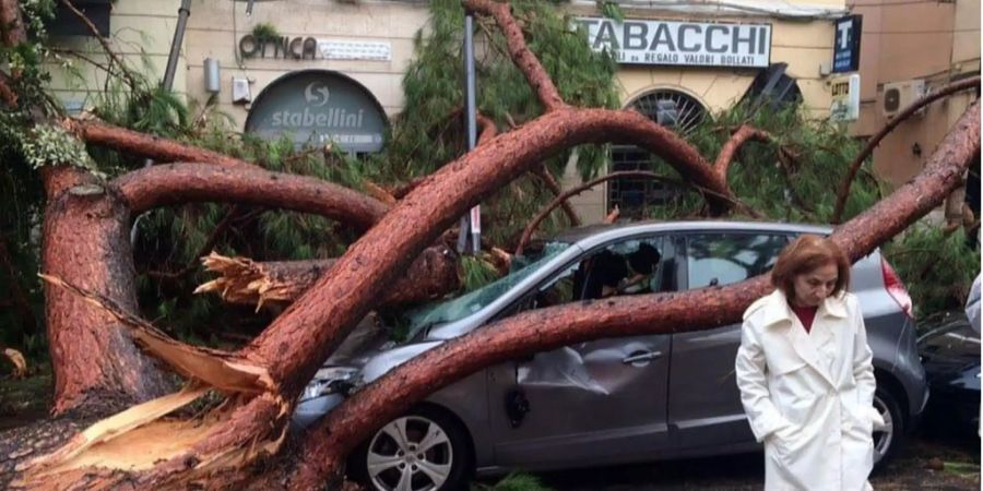 Eine Frau vor einem Auto, das von einem umgefallenen Baum zerstört wurde.