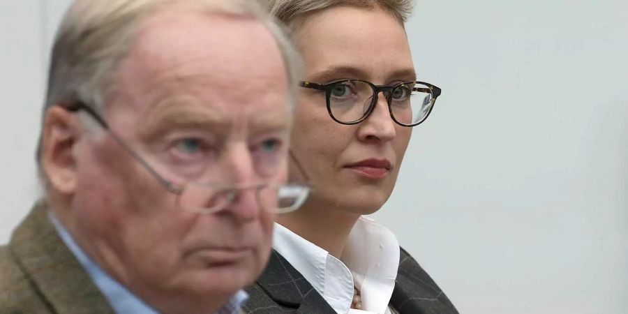 In der Fraktion teilt sich Alexander Gauland den Sitz mit Alice Weidel.