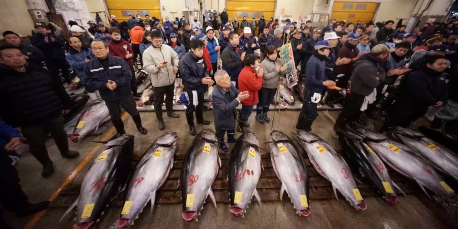 Händler am Tsukiji-Fischmarkt in Tokio üben ein rituelles Klatschen aus für den ersten Verkauf des Jahres von frischem Thunfisch.