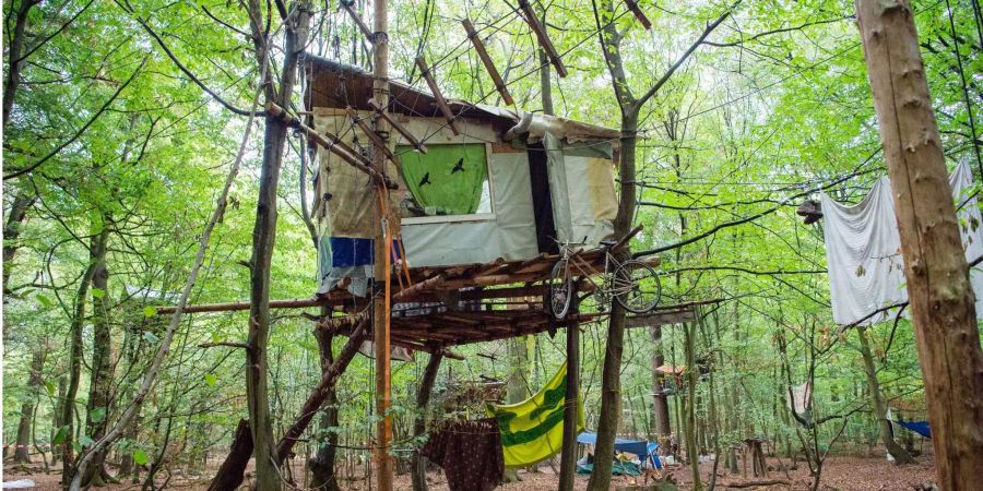 Aktivisten haben ein Baumhaus im Hambacher Forst gebaut.