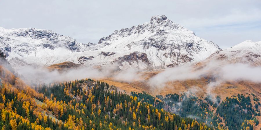 Landschaftsbild in der Region Sursee am Julierpass. - Kanton Graubünden