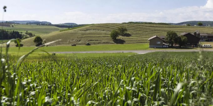 Landschaft bei Effingen AG. Das Gebiet Zärich Lägern gilt als geeigneter Standort für ein Tiefenlager fuer hochradioaktive Abfälle. Landschaft bei Effingen AG