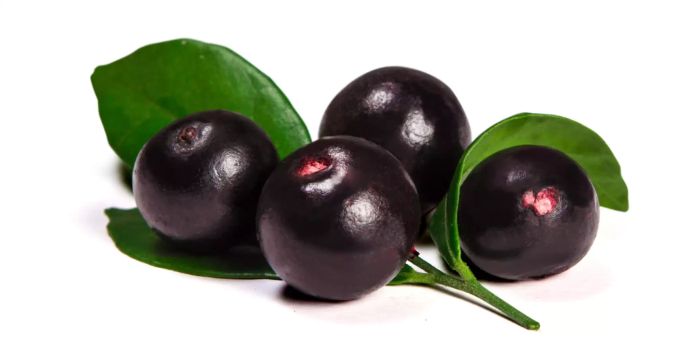 Die Açaí-Beere. Die Açaí-Beere.