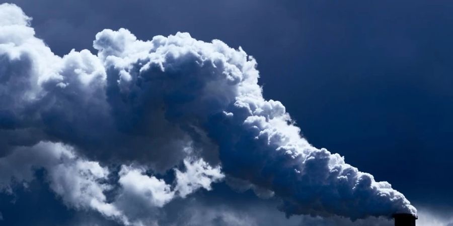 AGL steigt aus der Kohle aus